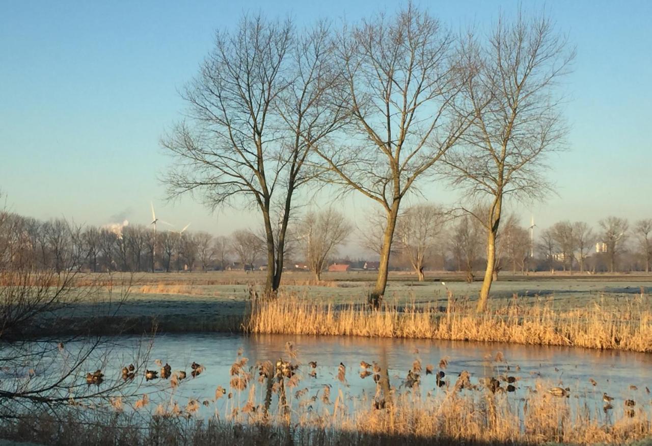 Logies De Meerkoet Brygge Exteriör bild